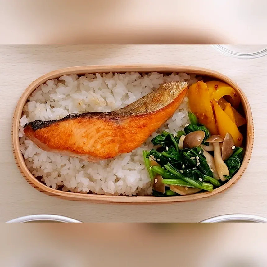 Salmon and rice bento — a Japanese meal Ayunara can plan and scan